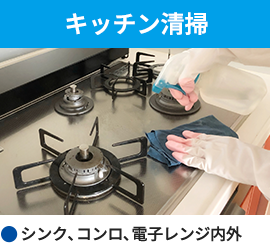 キッチン清掃（シンク、コンロ、電子レンジ内外）